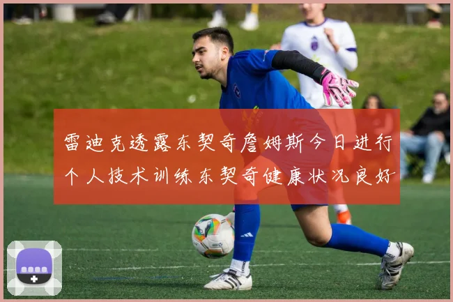 雷迪克透露东契奇詹姆斯今日进行个人技术训练东契奇健康状况良好