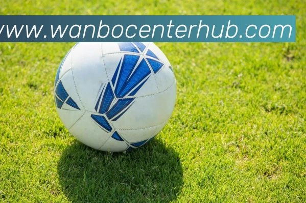 多媒体互动体验